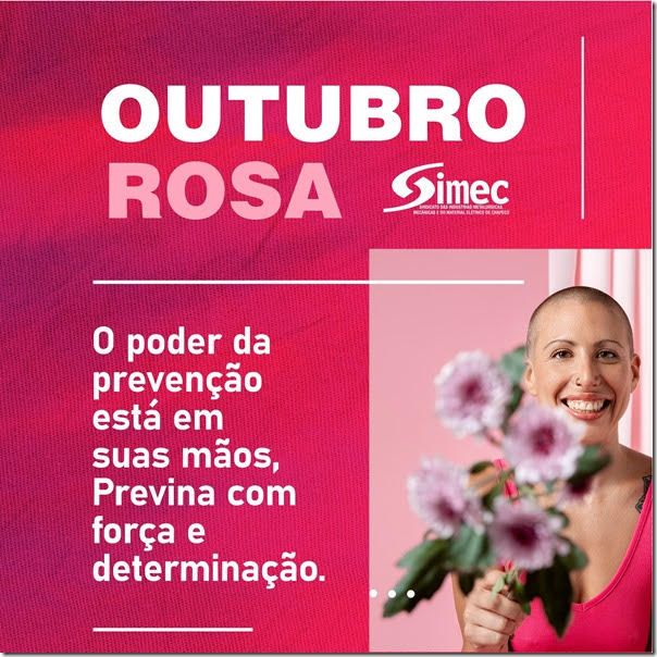 SIMEC - Sindicato das Indústrias Metalúrgicas, Mecânicas e do Material Elétrico de Chapecó/SC -